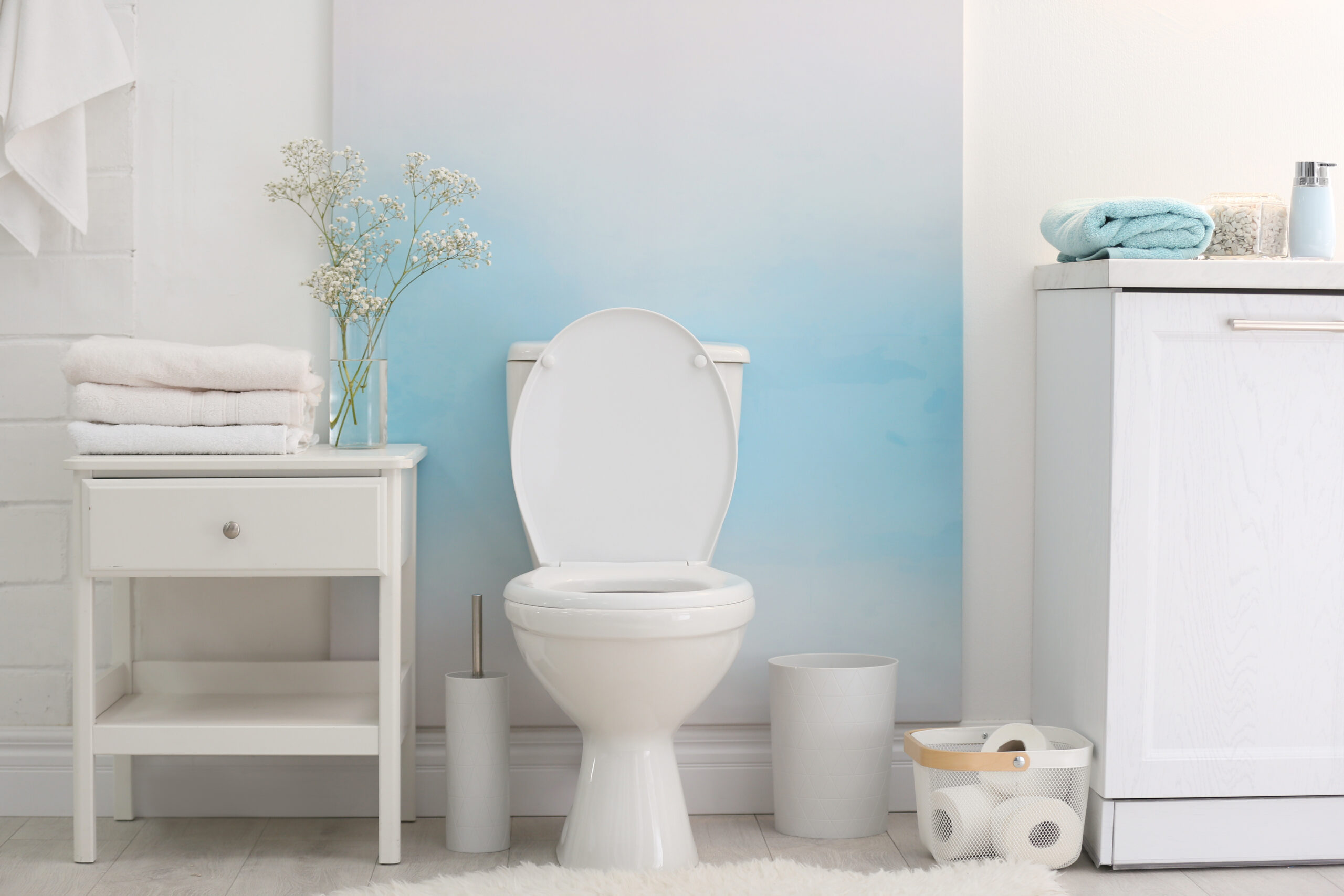 victory plumbing and repair toilet repair and installation services.